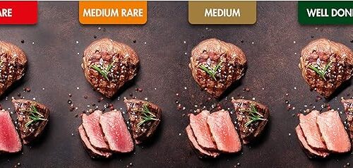 گریل گاستروبک 42542 11 813BdMTu2dL. AC SX679