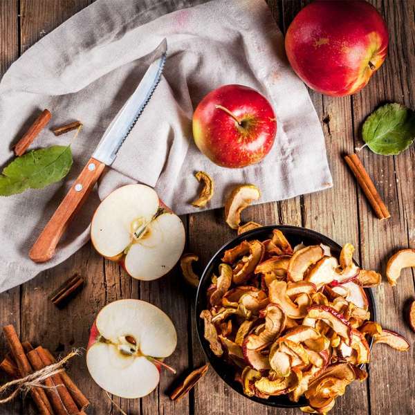 میوه خشک کن گاستروبک 46603 10 میوه خشک کن گاستروبک 46603 - تصویر 10