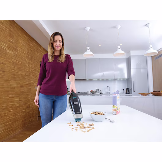 جارو شارژی بلک اند دکر 420 3 جارو شارژی بلک اند دکر 420 - تصویر 3