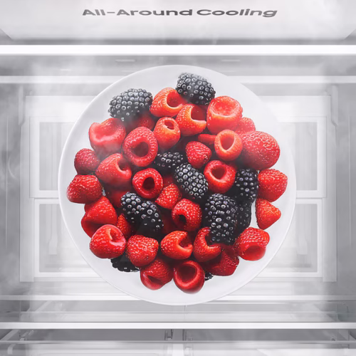 یخچال فریزر سامسونگ RB50 39 17 Copy