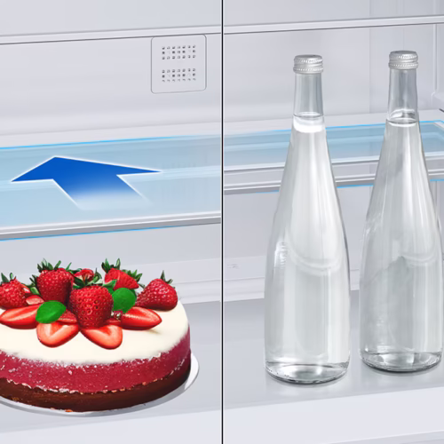 یخچال فریزر سامسونگ RB50 43 21 Copy