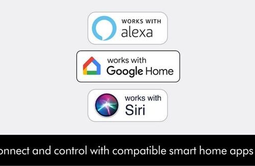 تصفیه هوای دایسون BP04 17 دایسون8 1